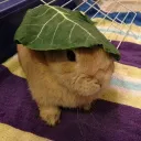 lop.fr