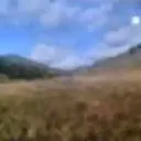 nueroo