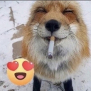 avatar Mel Mitski da Silva