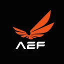 aef_2020