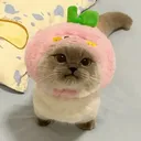 j.sse_