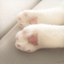 avatar Nora2alivee(albanian)