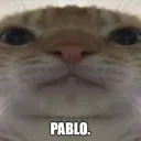 tylkoronaldo