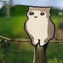 nobrimmy