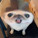 martianzz