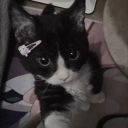 lavacake2's avatar