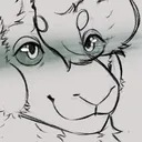 mouf2806