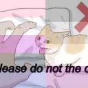 crystalcat28