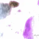 ` VNM • Cyberwarrior