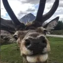 Аватар oljen227