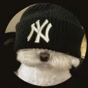 nombre_de_usuario0 avatar