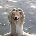 avatar .Carmila | NXS | YGG