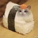 cannedtunasushi