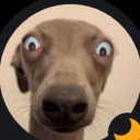 abo.sa1eh#0467's avatar