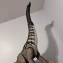 clownopleura