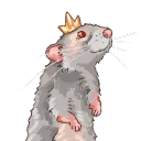 kingoflabrats