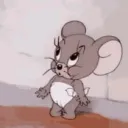 hj_zara