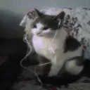 theworldofpc
