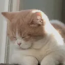 sanskrutib