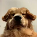 bxmcraxt