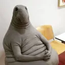tadziknorek