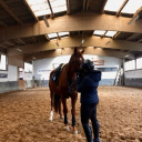 avatar 𝑲𝒂𝒓𝒍𝒐𝒕𝒕𝒂