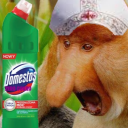 Domestos
