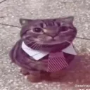 squishy_pandaa