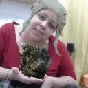 kingninfeutinha