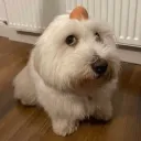zahirski4 avatar