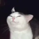 mejbha