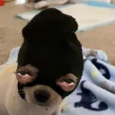 zaqee