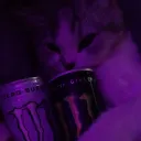 markilo_main2