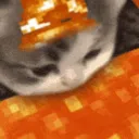 rndmneko