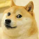 mr8unknown8277 avatar