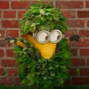 avatar tess ticulaire kanser