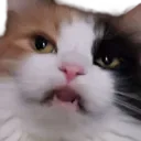 Kensushi