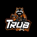 t_rob_gaming