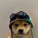 toto_v2