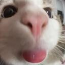 biofaker_