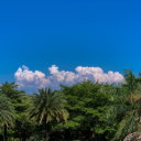 tianfuluo942's Avatar