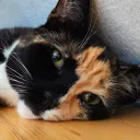 mkarma