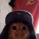 avatar comrade nordstrom