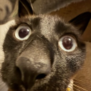 fathomofairy#2432's avatar