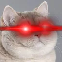 g_7775655