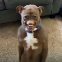 avatar ˖᯽ ݁˖ Princess ˖᯽ ݁˖