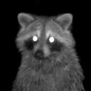fentavol