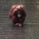 Аватар dantuha