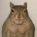 rexstarr