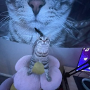 Discord Avatar